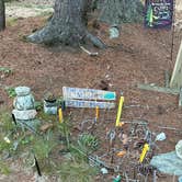 Review photo of Mount Desert Campground by Maybe I., July 3, 2026