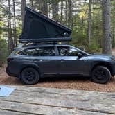 Review photo of Mount Desert Campground by Karen M., October 4, 2026