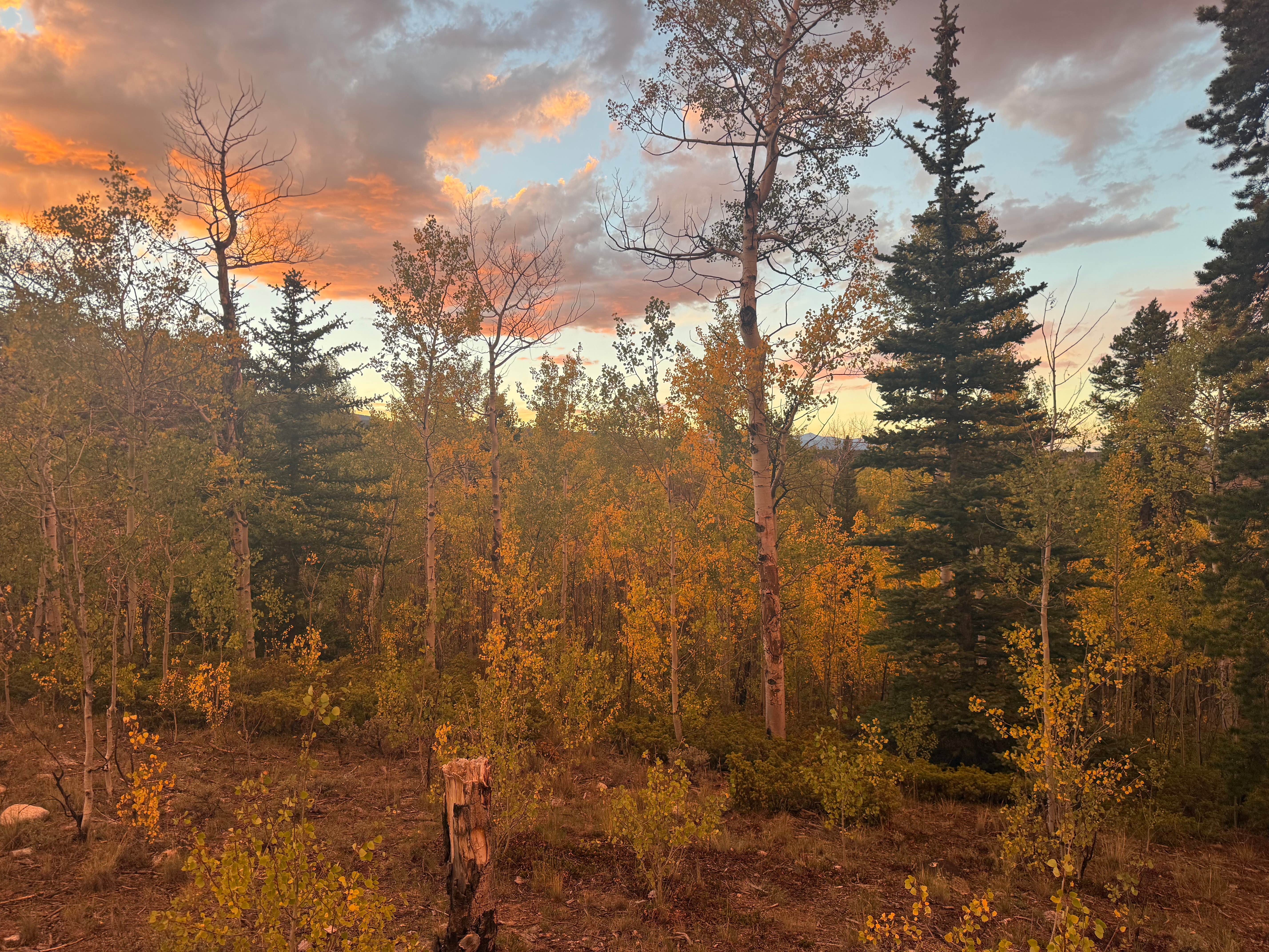 Camping near Elbert Creek — Psicc: Mount Elbert Forebay Camping, Granite, Colorado