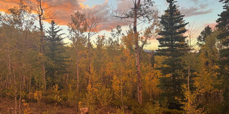 Camper submitted image from Mount Elbert Forebay Camping
