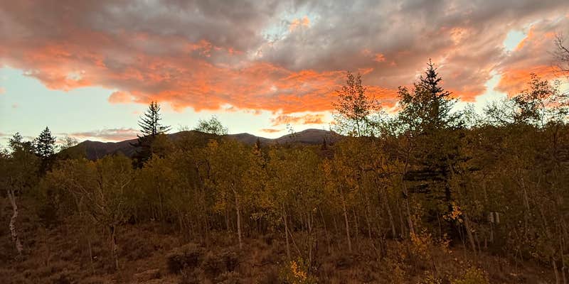 Camper submitted image from Mount Elbert Forebay Camping