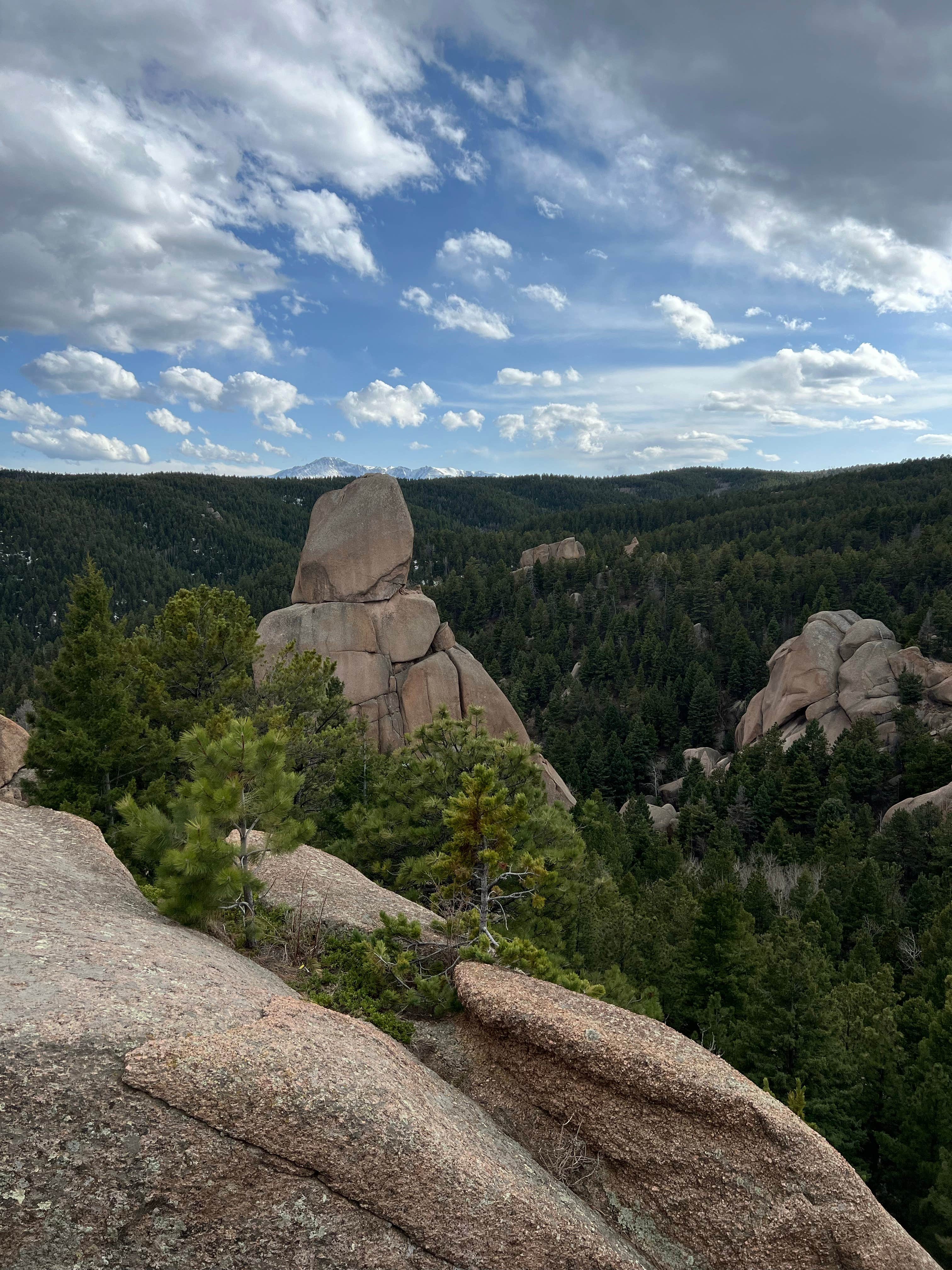 Jinho T.'s photo of a dispersed camping area at Mount Herman Road Dispersed Camping near Sedalia, CO