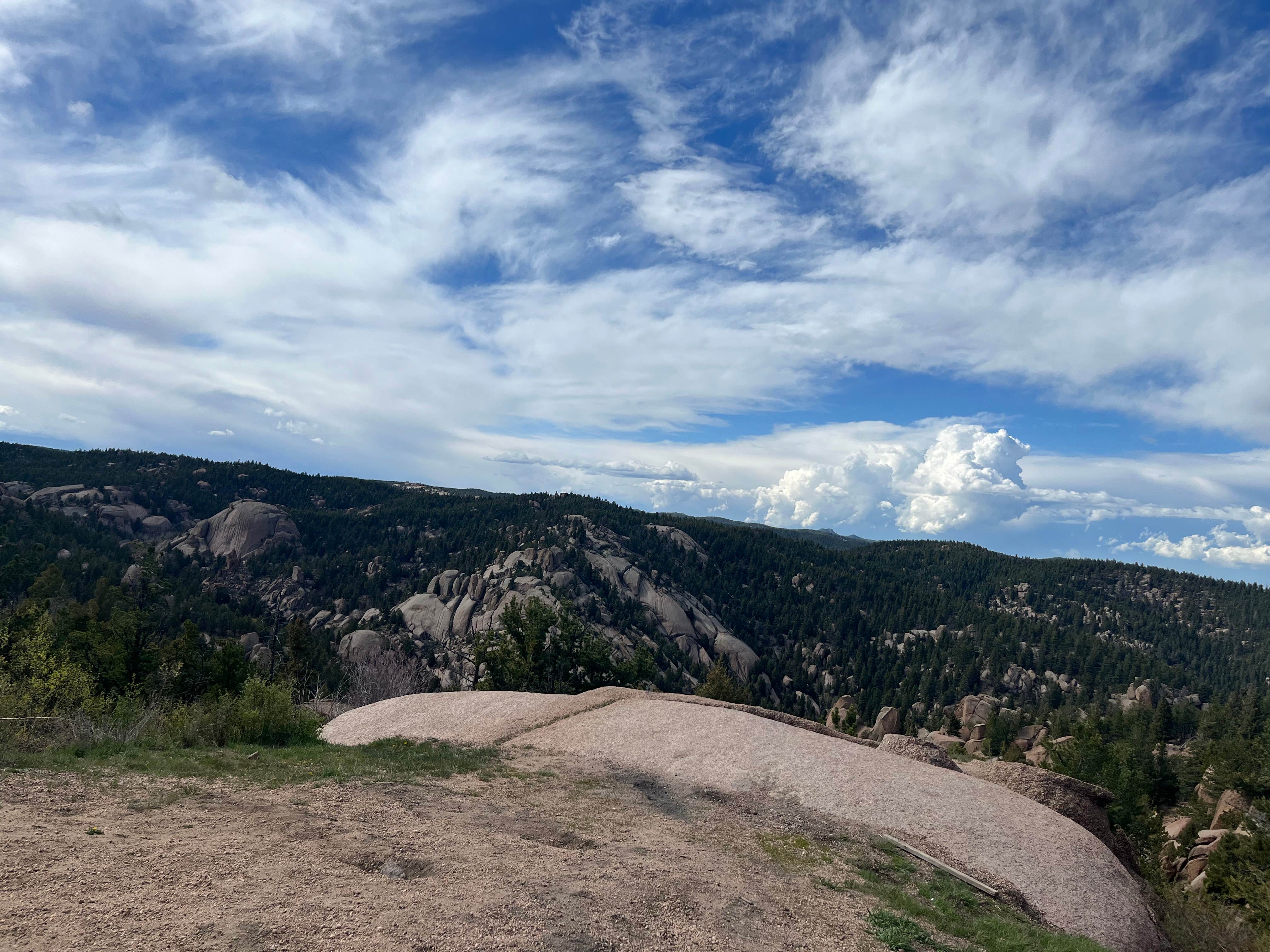 Logan C.'s photo of a dispersed camping area at Mount Herman Road Dispersed Camping near Monument, CO