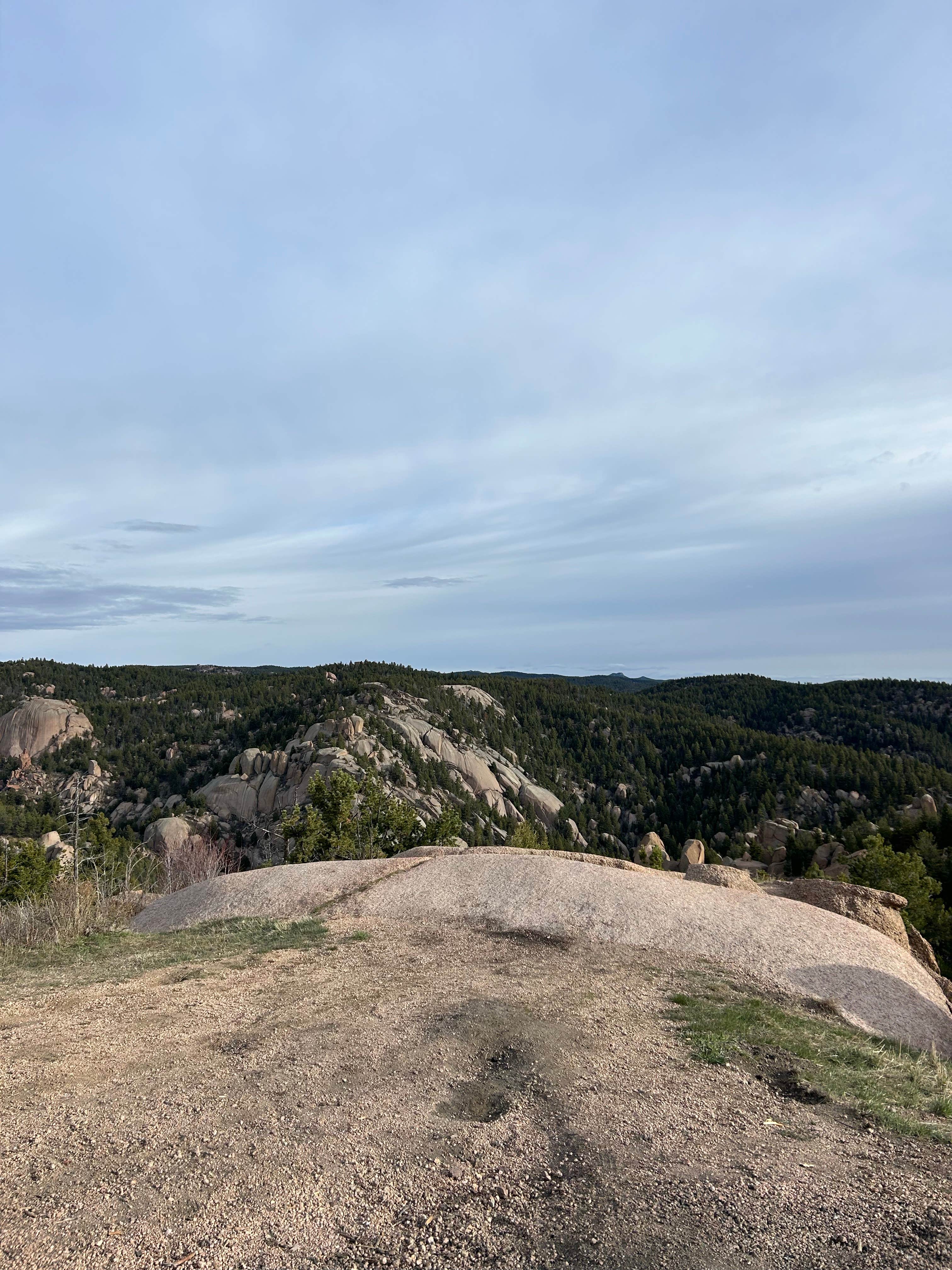 Alyson M.'s photo of a dispersed camping area at Mount Herman Road Dispersed Camping near Castle Pines, CO