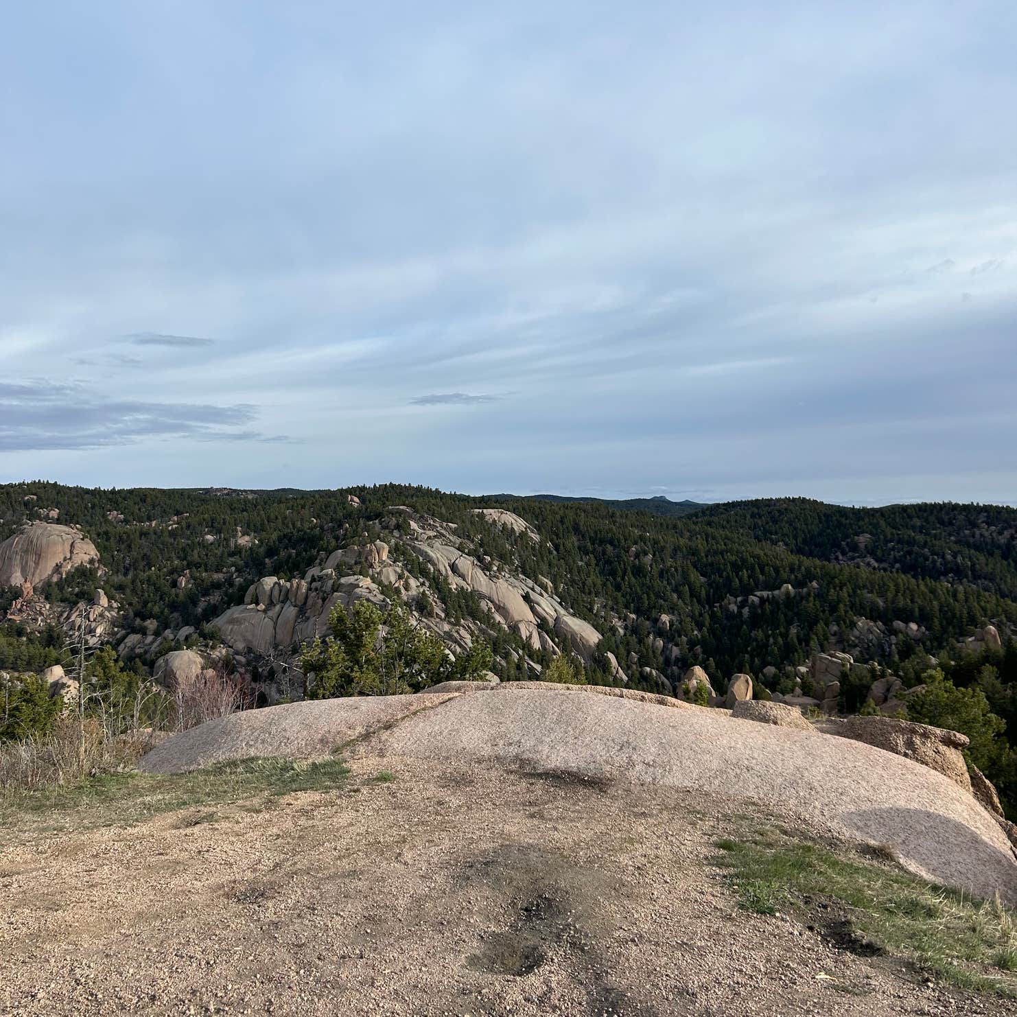 Mount Herman Road Dispersed Camping Monument, CO