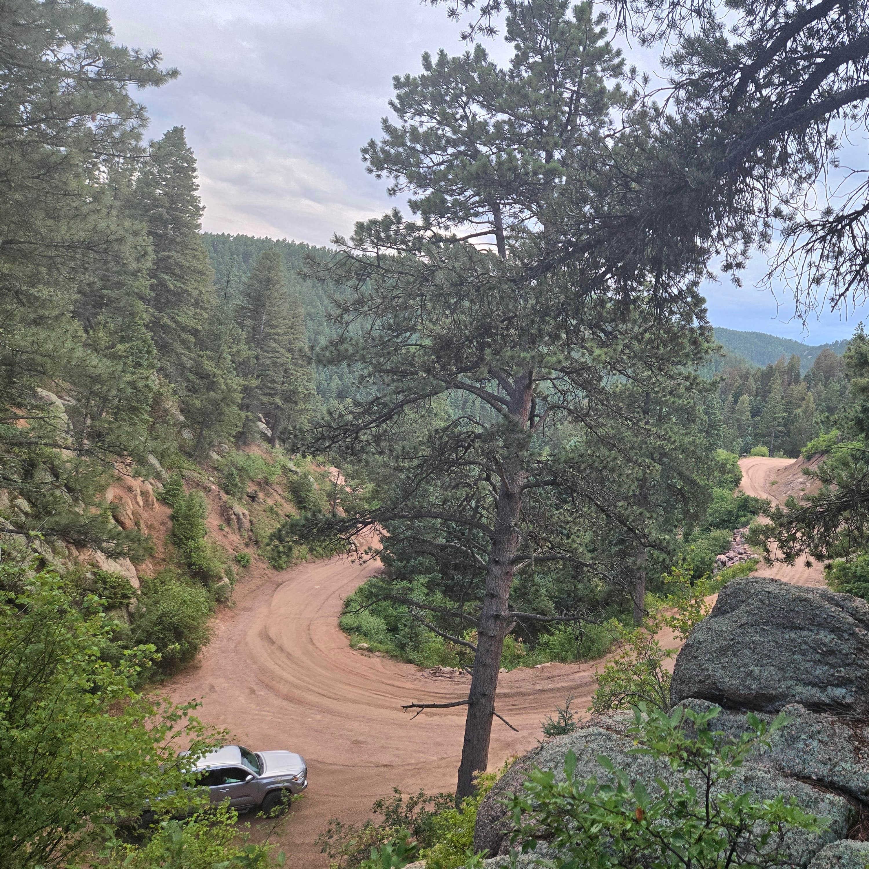 Mount Herman Road Dispersed Camping Monument, CO