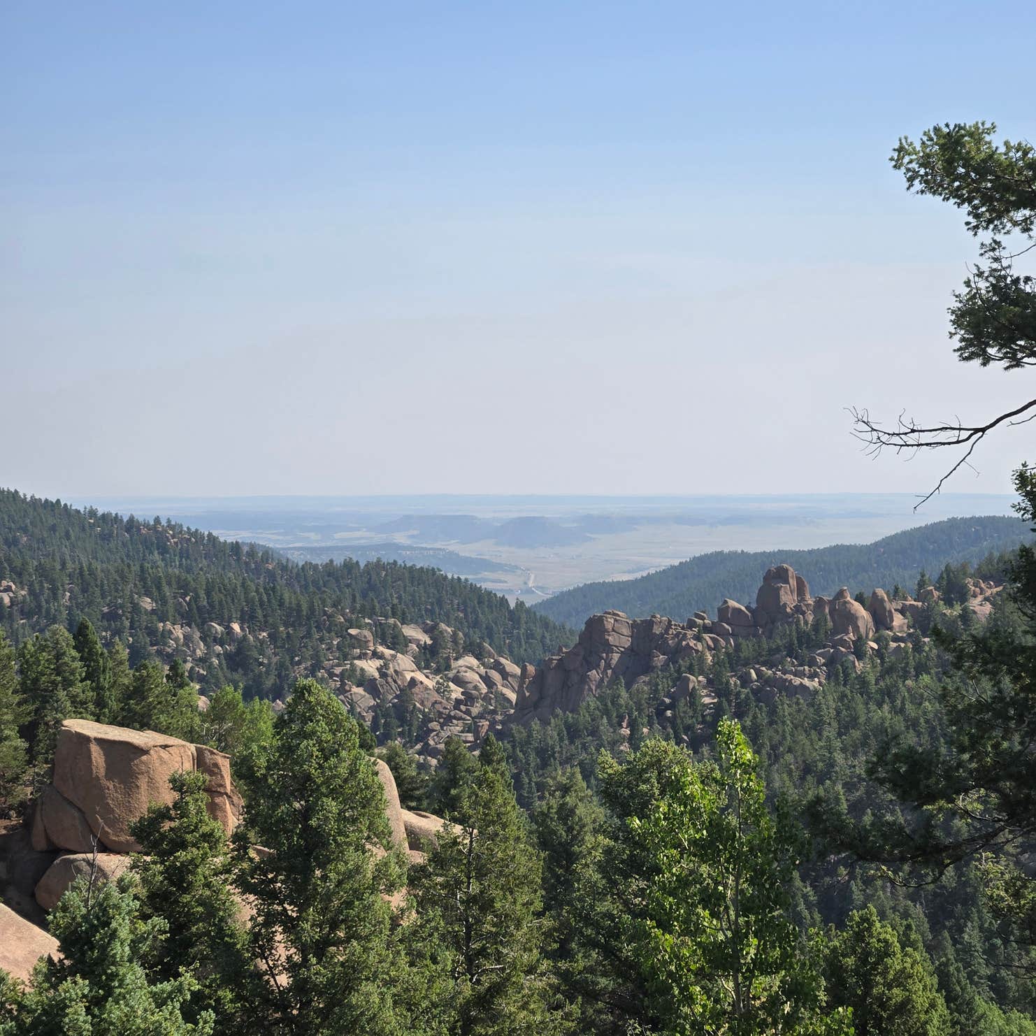 Mount Herman Road Dispersed Camping Monument, CO