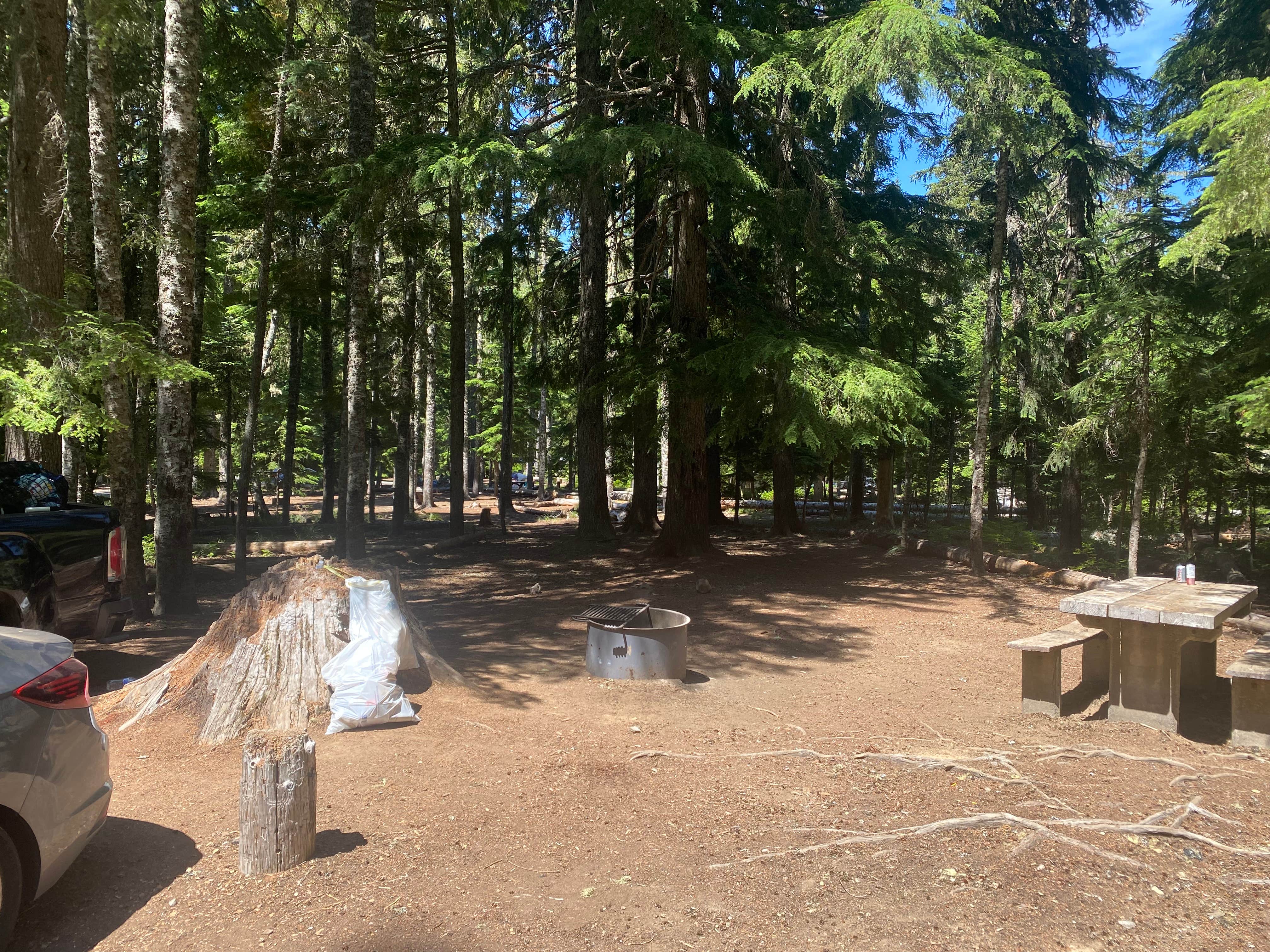 Camper submitted image from Mount Hood National Forest Frog Lake Campground - 5