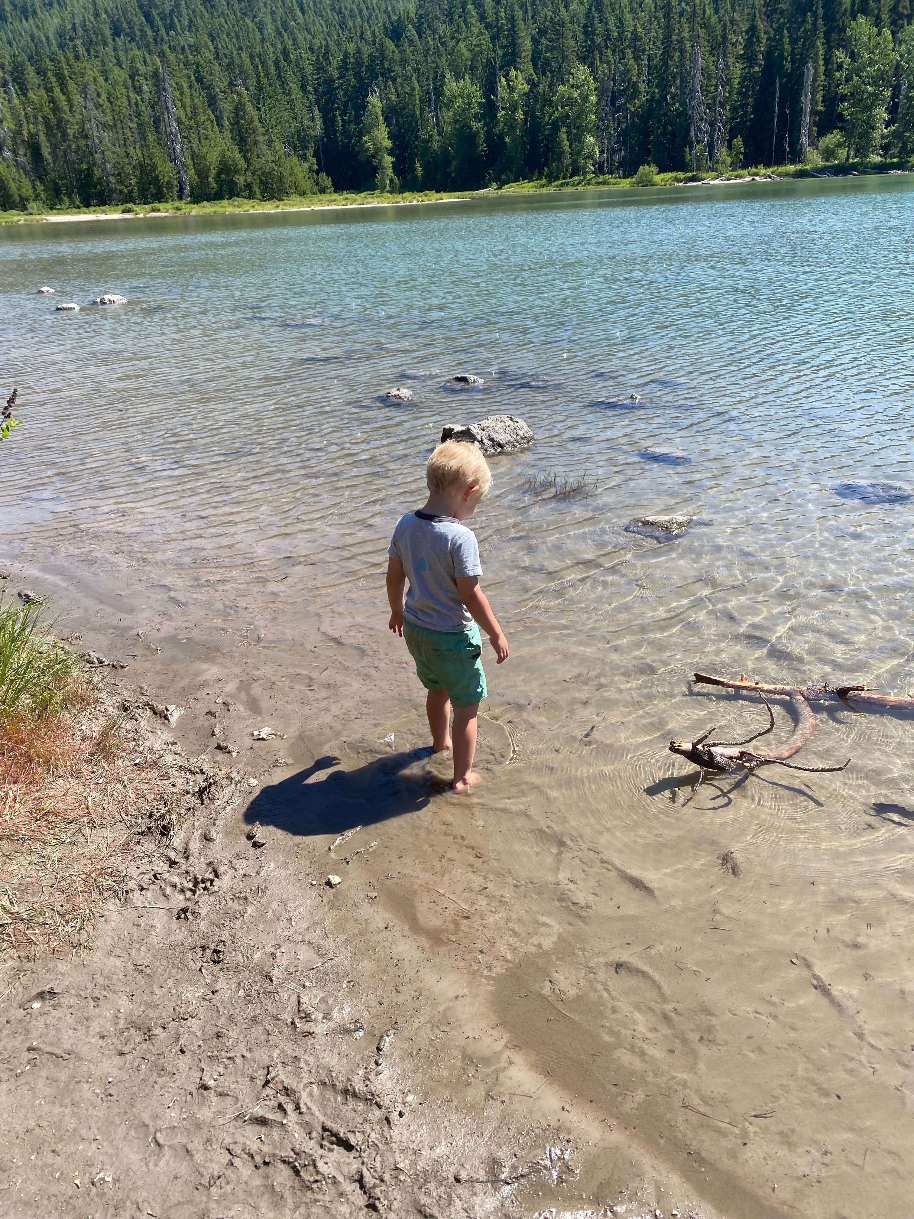 Camper-submitted photo at Mount Hood National Forest Frog Lake Campground near Government Camp, OR