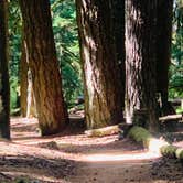 Review photo of Mount Hood National Forest Lost Creek Campground by S. Renae M., August 31, 2026