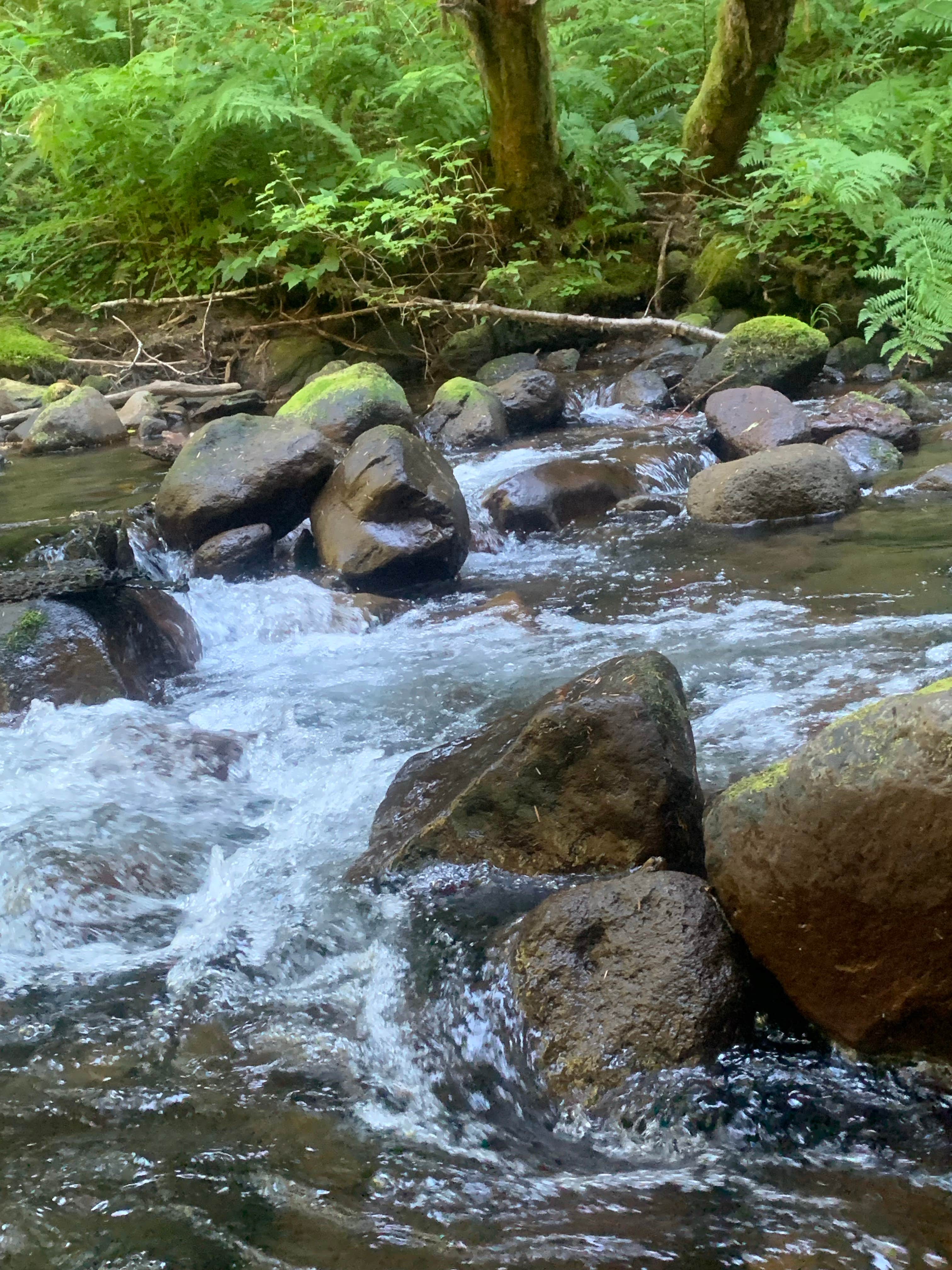 Water