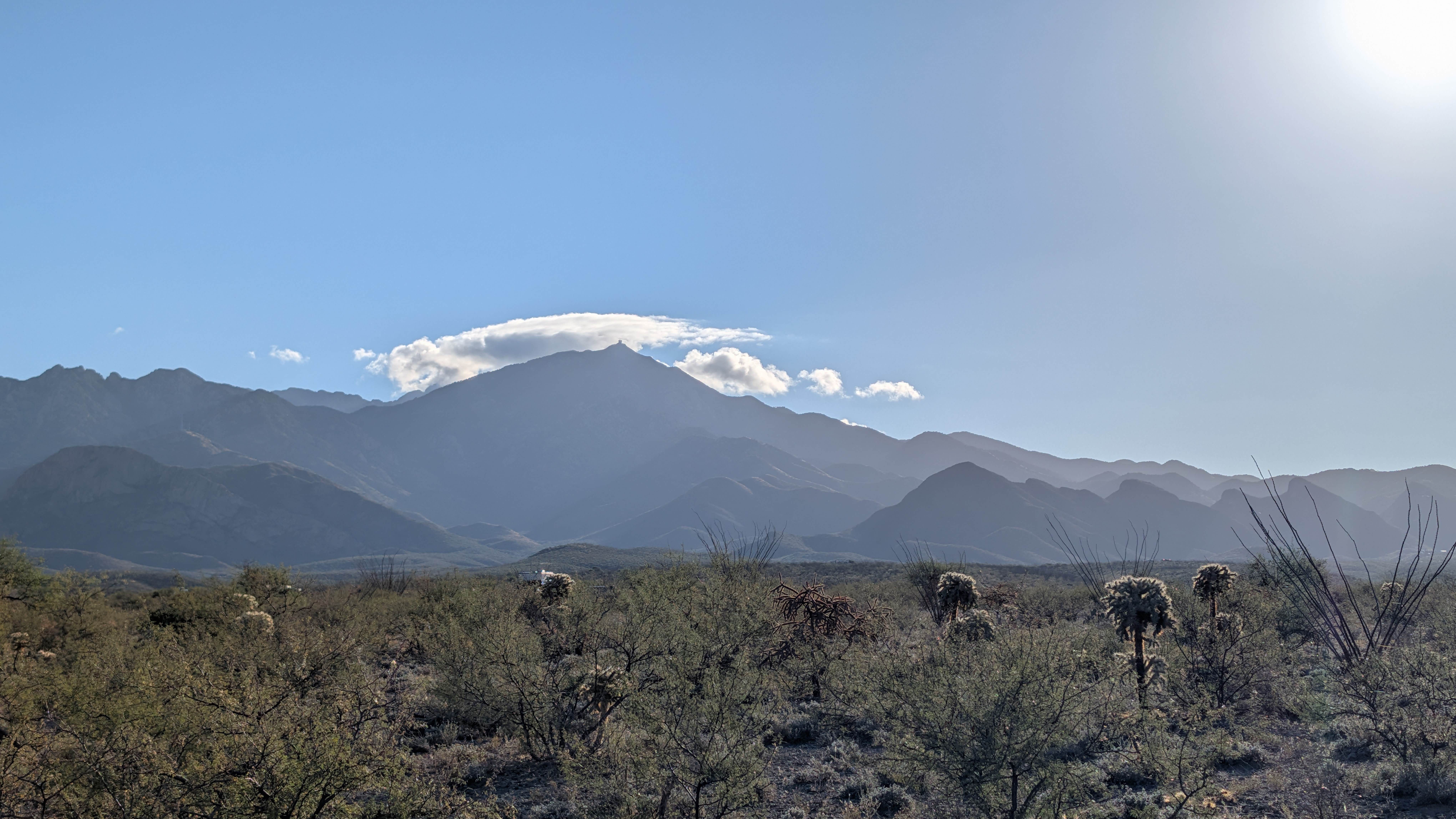 Camper-submitted photo at Mount Hopkins Road Dispersed Site near Tumacacori, AZ