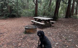 Chris D.'s photo of camping with pets at Mount Madonna County Park near San Jose, CA