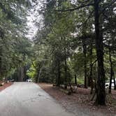 Review photo of Mount Madonna County Park by Chris D., March 3, 2026