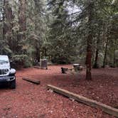 Review photo of Mount Madonna County Park by Chris D., March 3, 2026