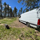 Review photo of Mount Roosevelt Road Dispersed Campsite by Bradley B., May 17, 2024