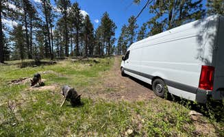 Bradley B.'s photo of camping with pets at Mount Roosevelt Road Dispersed Campsite near Beulah, WY