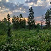 Review photo of Mount Roosevelt Road Dispersed Campsite by Heather S., July 21, 2024