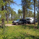 Review photo of Mount Roosevelt Road Dispersed Campsite by Glen B., July 11, 2026