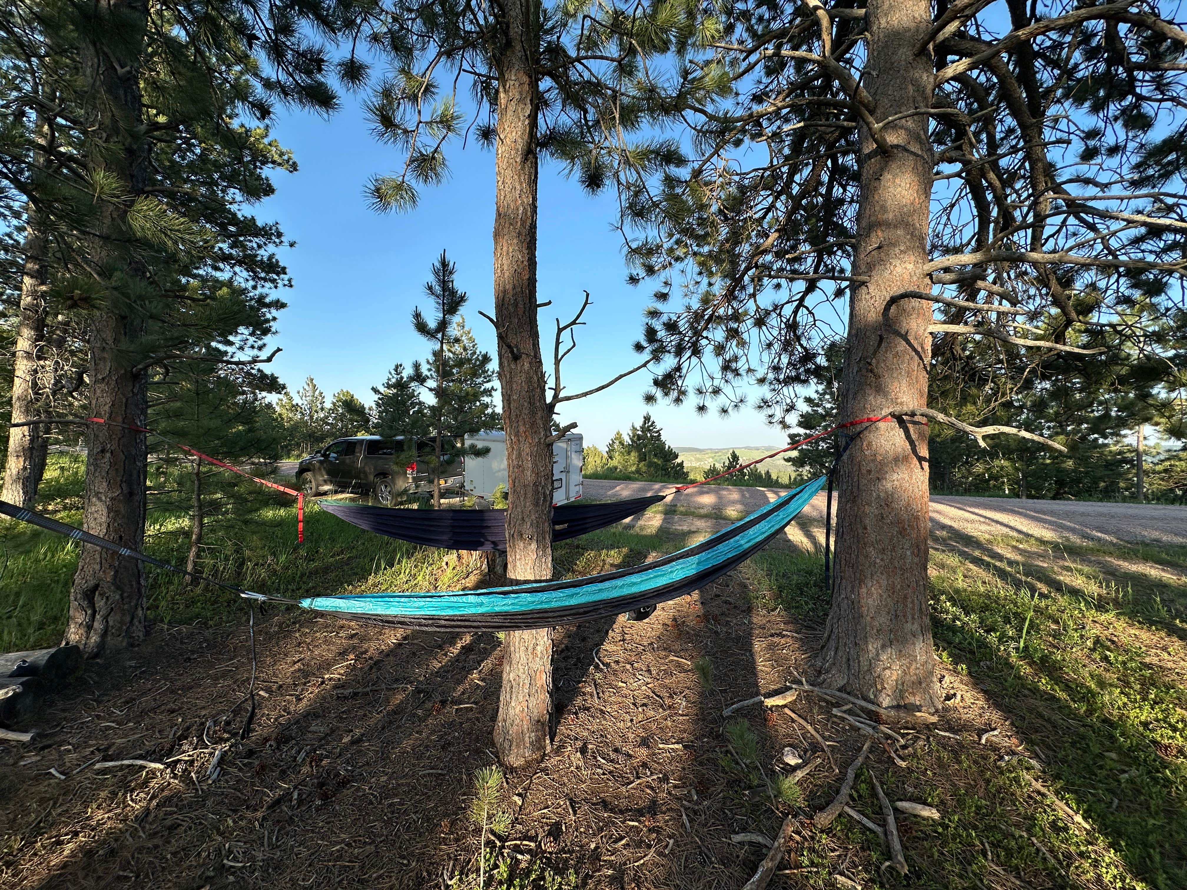 Camper-submitted photo at Mount Roosevelt Road Dispersed Campsite near Silver City, SD