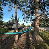 Review photo of Mount Roosevelt Road Dispersed Campsite by Bruce S., June 24, 2025