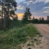 Review photo of Mount Roosevelt Road Dispersed Campsite by Heather S., July 21, 2024