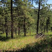 Review photo of Mount Roosevelt Road Dispersed Campsite by Glen B., July 11, 2026