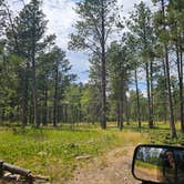 Review photo of Mount Roosevelt Road Dispersed Campsite by Goshen K., July 27, 2026