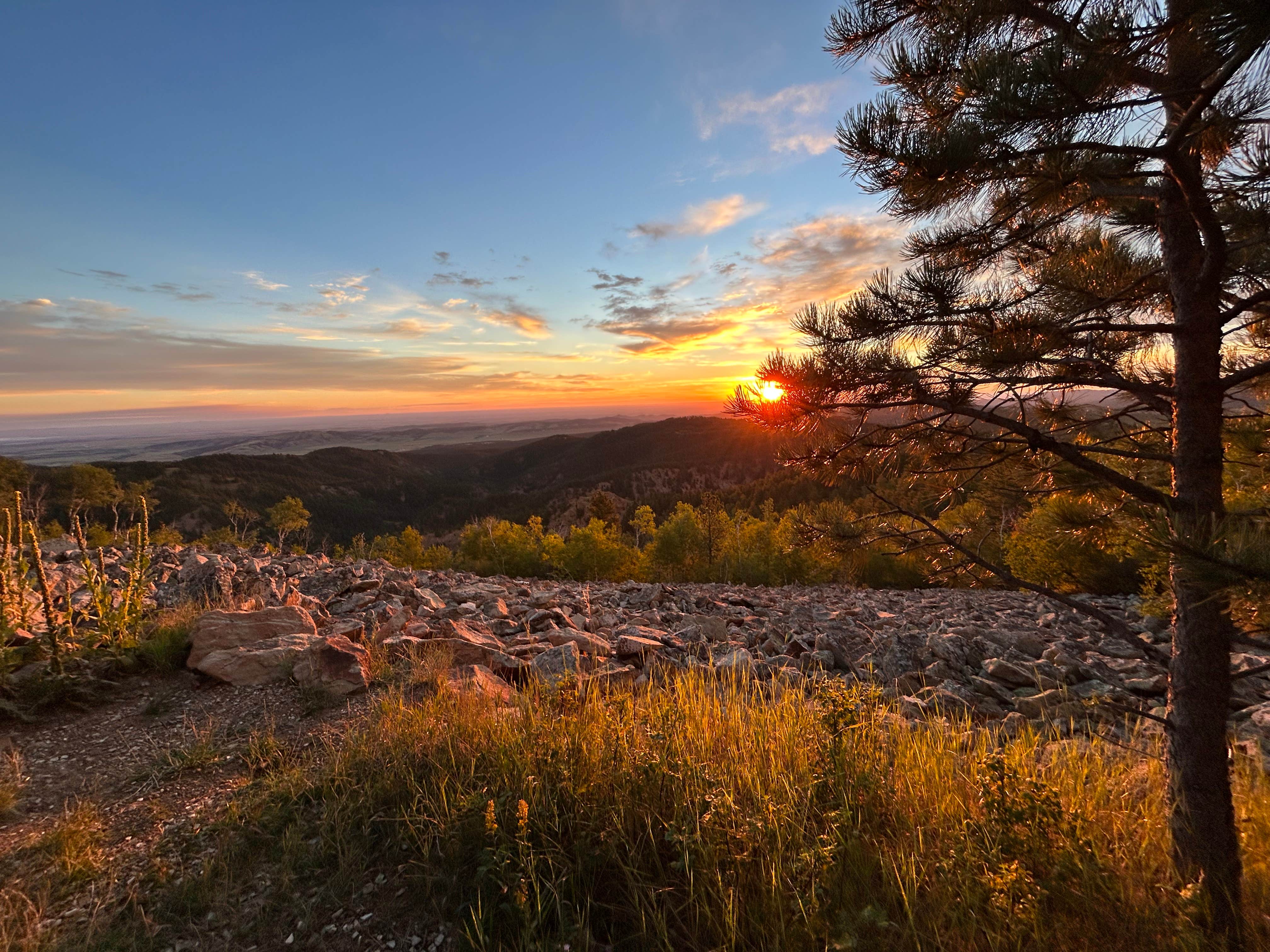 Camper-submitted photo at Mount Roosevelt Road Dispersed Campsite near Silver City, SD