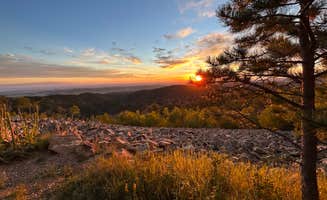 TexasRed (.'s photo of a dispersed camping area at Mount Roosevelt Road Dispersed Campsite near Devils Tower National Monument