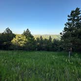 Review photo of Mount Roosevelt Road Dispersed Campsite by Bruce S., June 24, 2025
