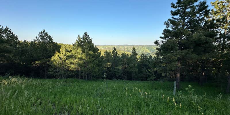 Camper submitted image from Mount Roosevelt Road Dispersed Campsite