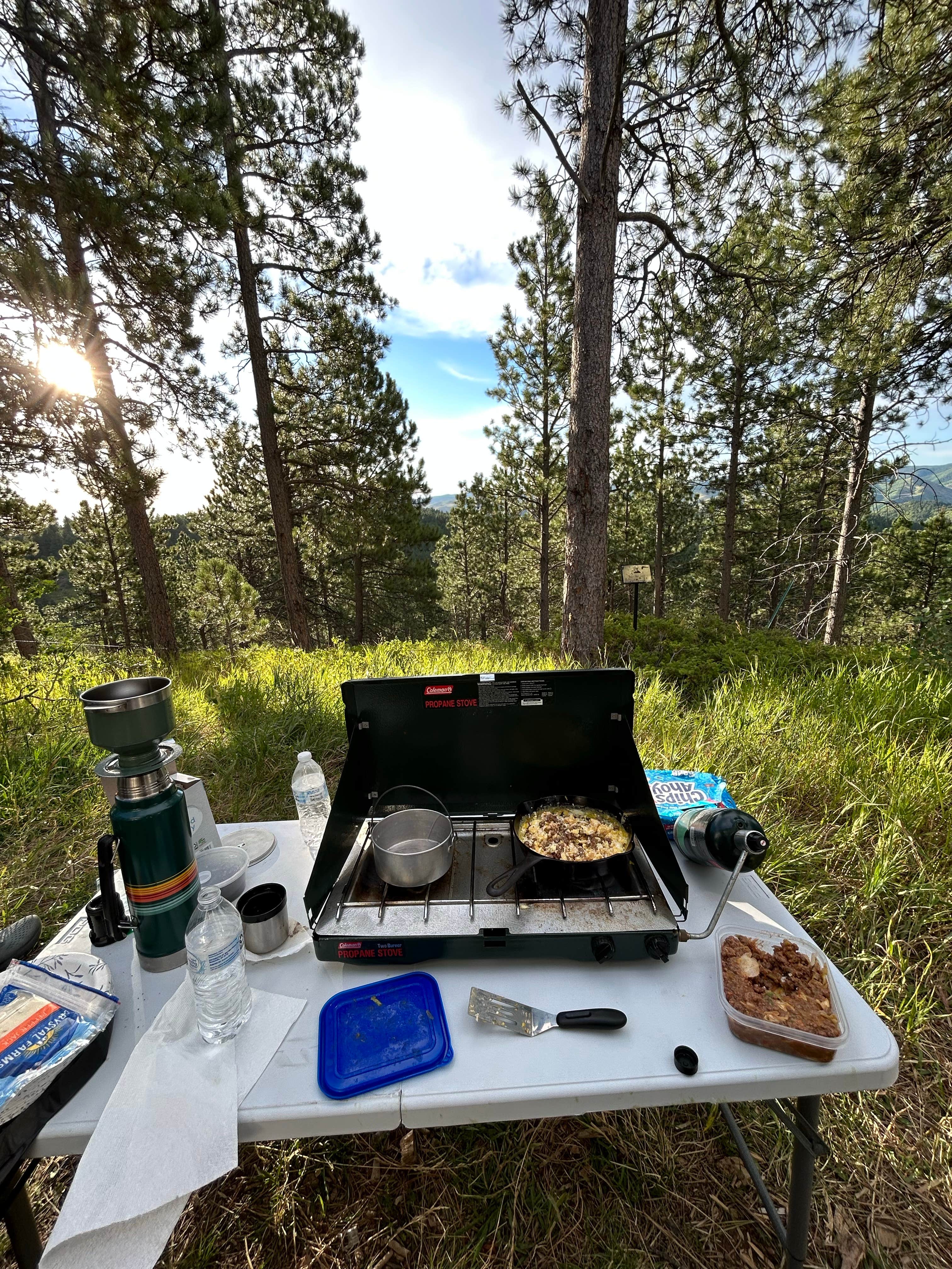Camper submitted image from Mount Roosevelt Road Dispersed Campsite - 3