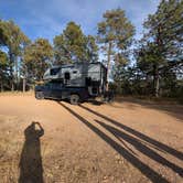 Review photo of Mount Roosevelt Road Dispersed Campsite by Chris M., September 14, 2026