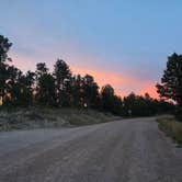 Review photo of Mount Roosevelt Road by Lisha P., September 1, 2026