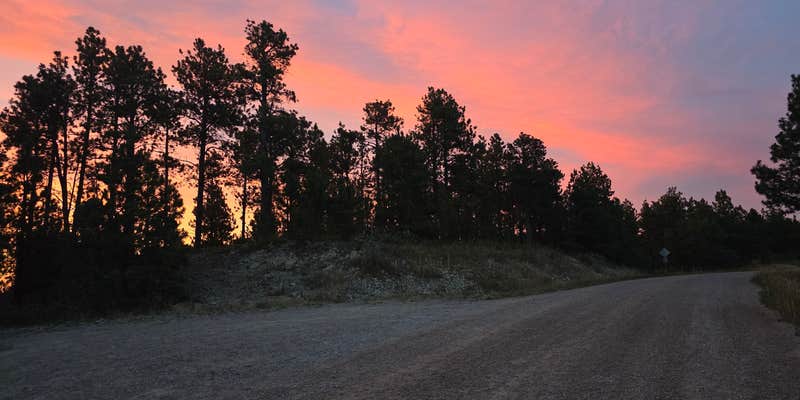 Camper submitted image from Mount Roosevelt Road