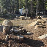 Review photo of Mount Rose Campground by Lawrence R., August 3, 2026