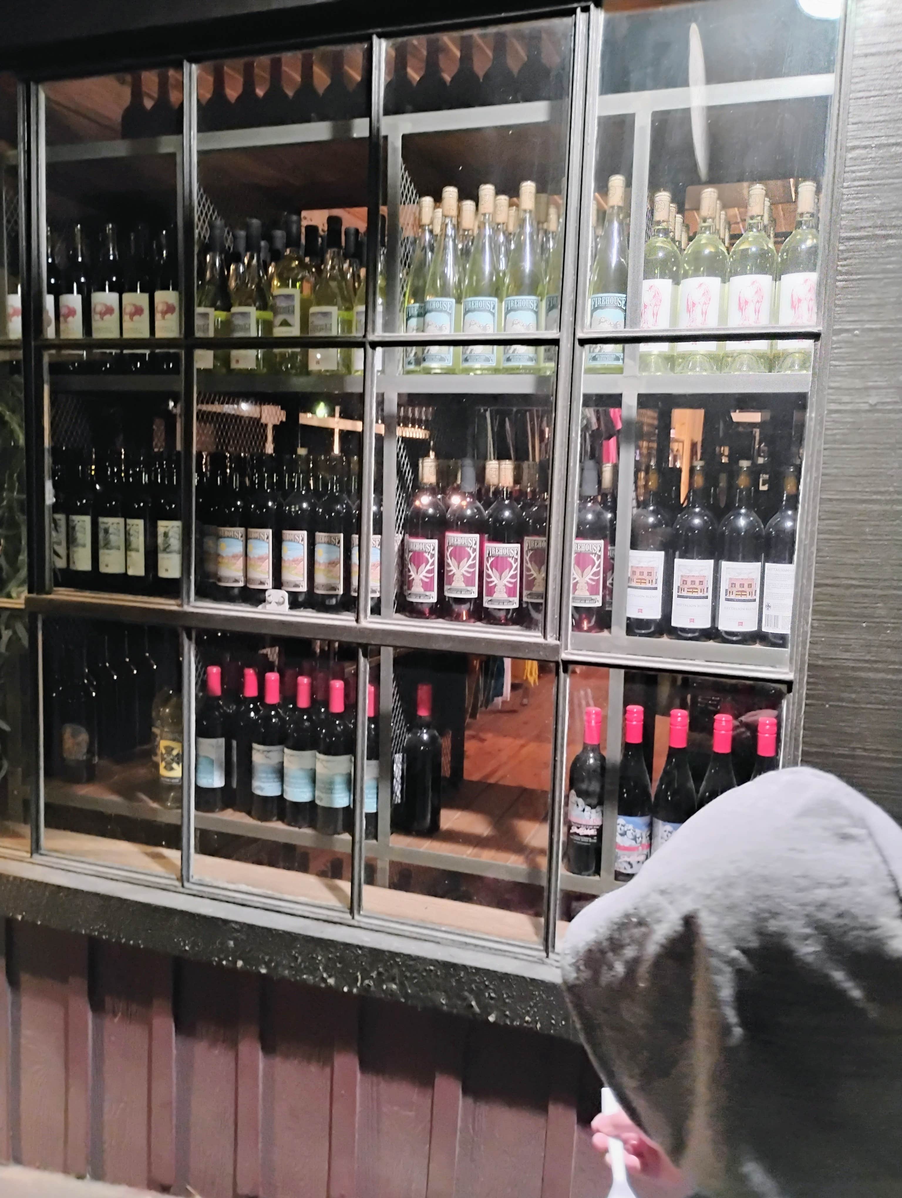 My Life - D.'s photo of camping with pets at Mount Rushmore KOA at Palmer Gulch near Black Hills National Forest