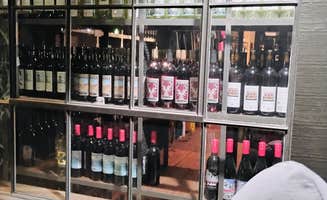 My Life - D.'s photo of camping with pets at Mount Rushmore KOA at Palmer Gulch near Black Hills National Forest