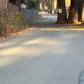 Review photo of Mount Shasta City KOA Holiday by Ashley D., December 1, 2025