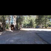 Review photo of Mount Shasta City KOA by Gintare , April 22, 2025