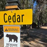 Review photo of Mount Shasta City KOA by Gintare , April 22, 2025
