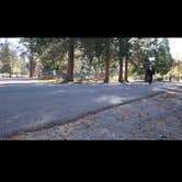 Review photo of Mount Shasta City KOA by Gintare , April 22, 2025
