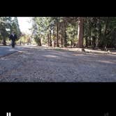 Review photo of Mount Shasta City KOA by Gintare , April 22, 2025
