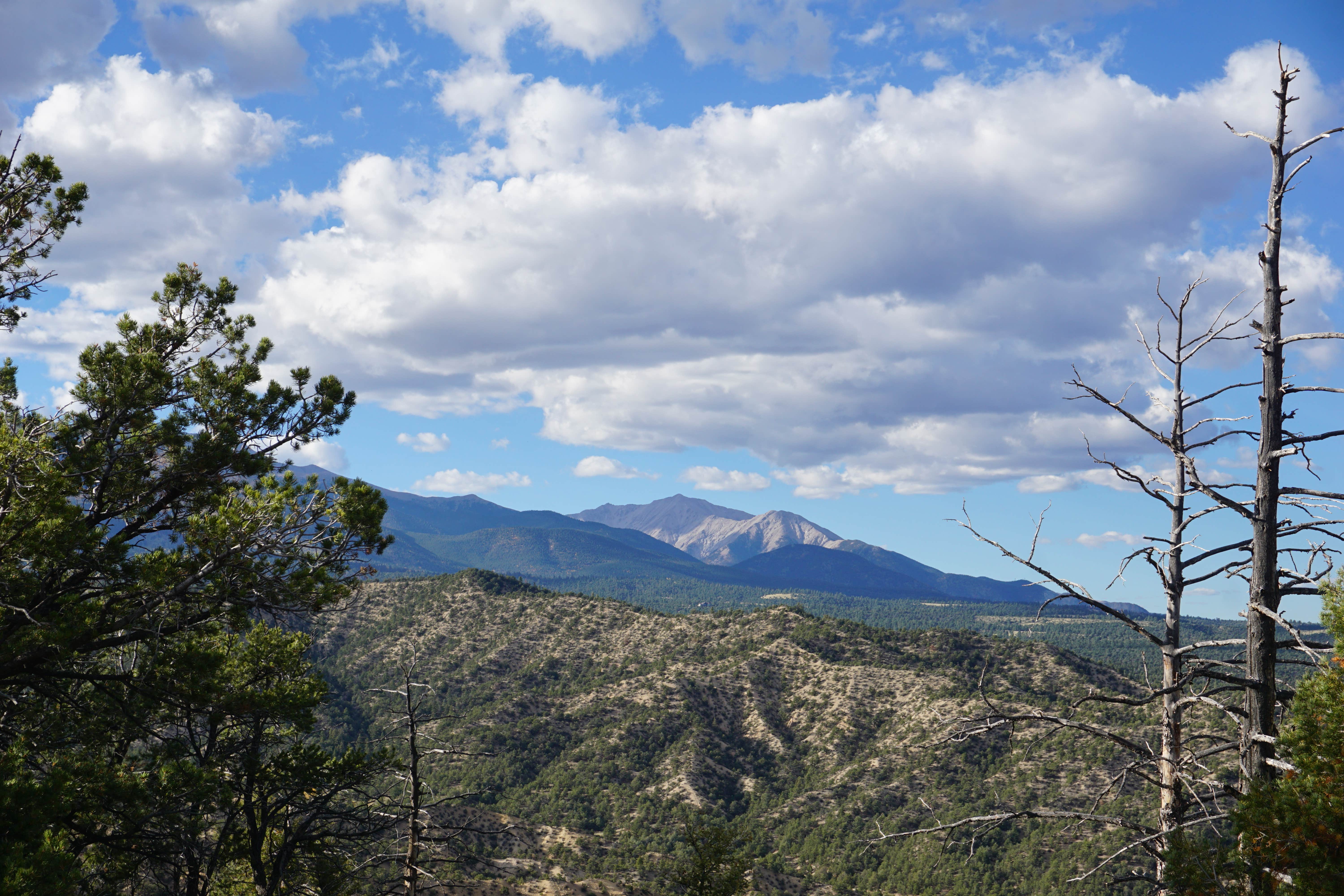 Fabein D.'s photo of a dispersed camping area at Mount Shavano Dispersed Camping near Monarch, CO