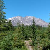 Review photo of Mount St. Helens Dispersed Camping by Starseed P., January 31, 2025