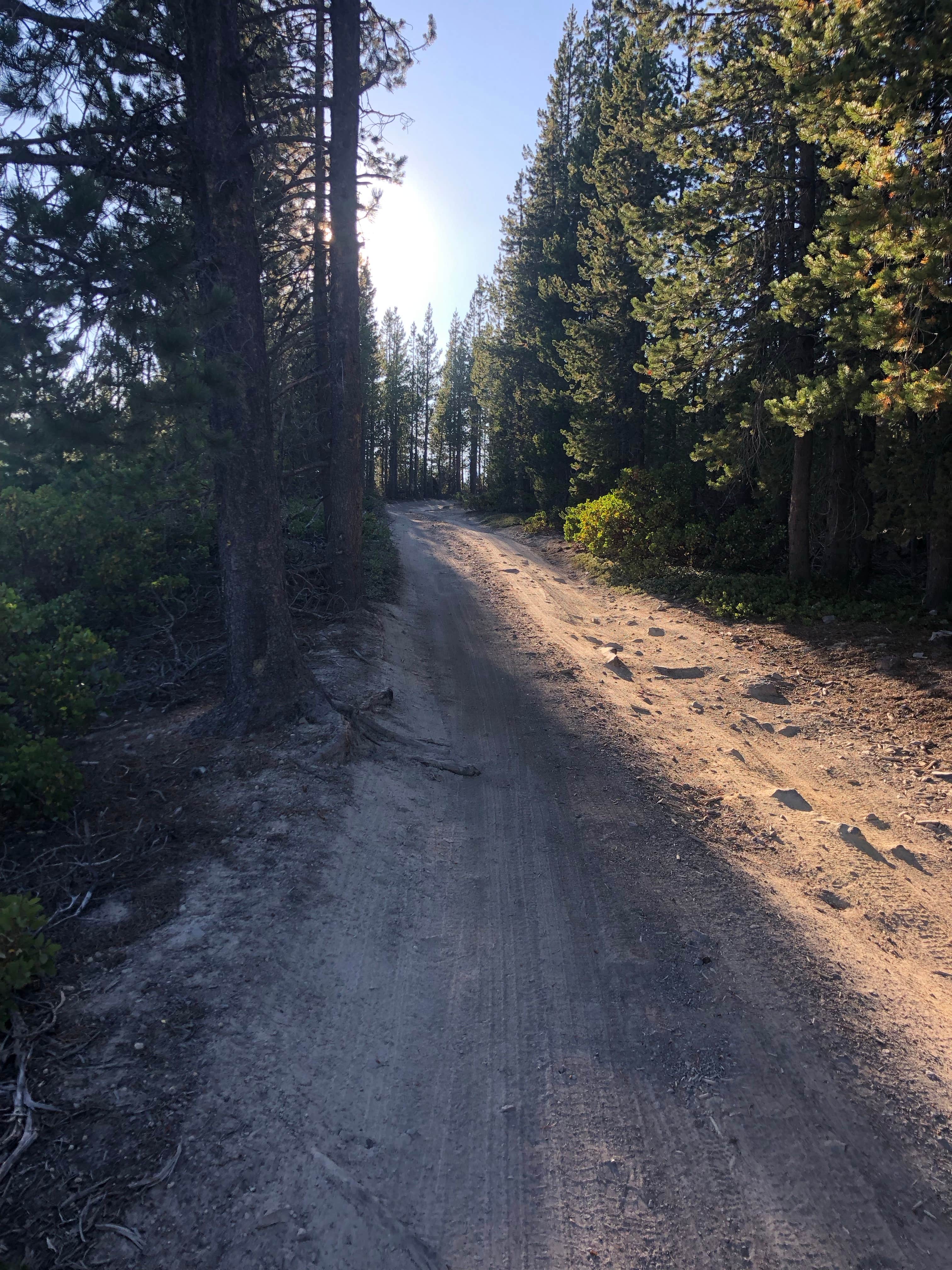 Meatball W.'s photo of a dispersed camping area at Mount Thielsen Wilderness near Umpqua National Forest