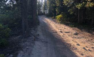 Meatball W.'s photo of a dispersed camping area at Mount Thielsen Wilderness near Umpqua National Forest