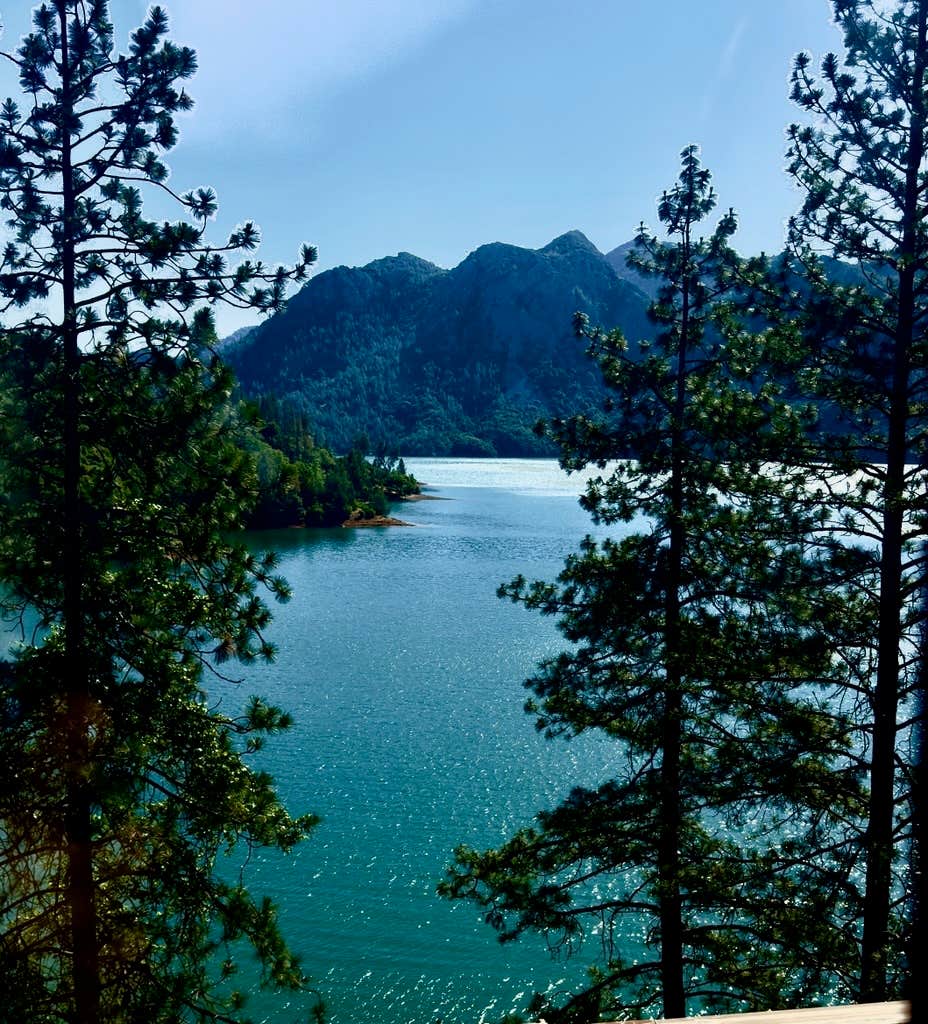 Camper submitted image from Mountain Gate RV Park - 4