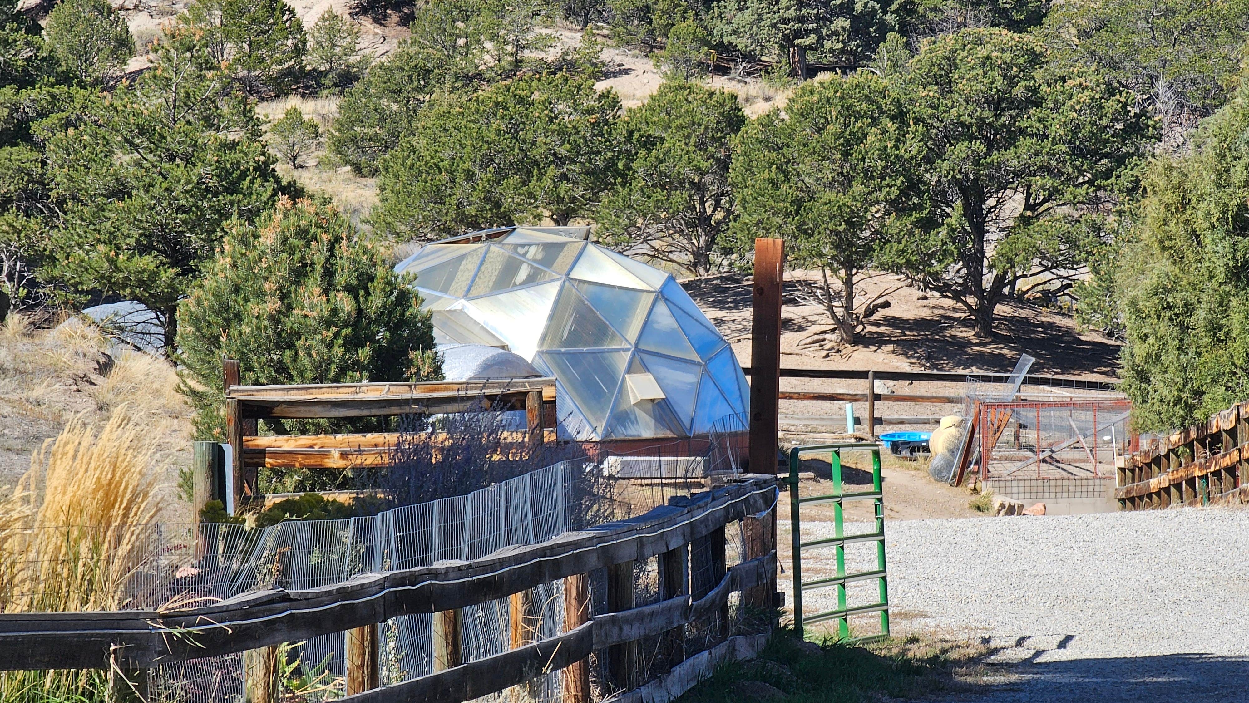johny R.'s photo of camping with pets at Mountain Goat Lodge near Howard, CO